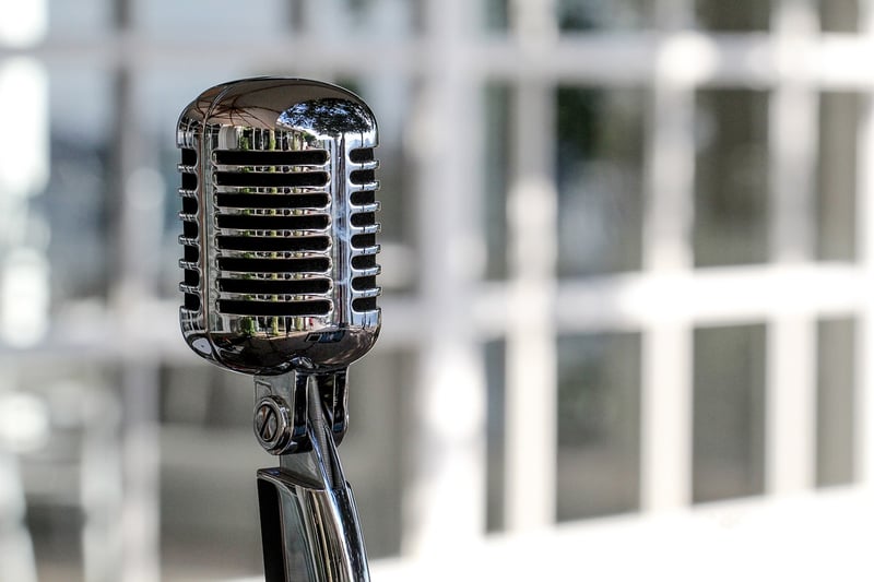 Voice Actor